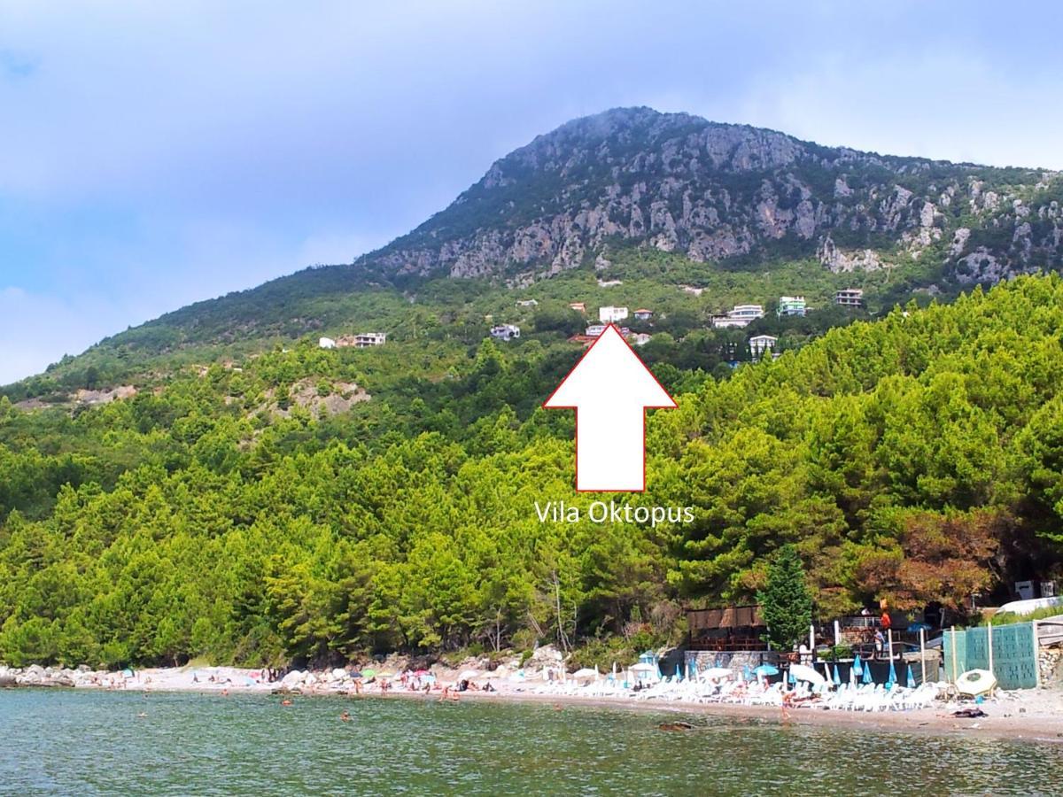 Apartments Oktopus Сутоморе Экстерьер фото